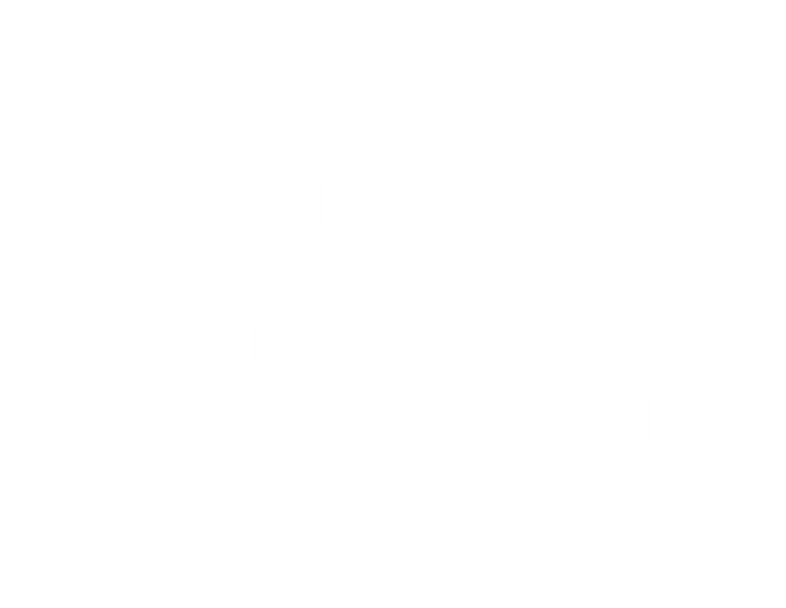 Neto Company Inv. Ltd logo